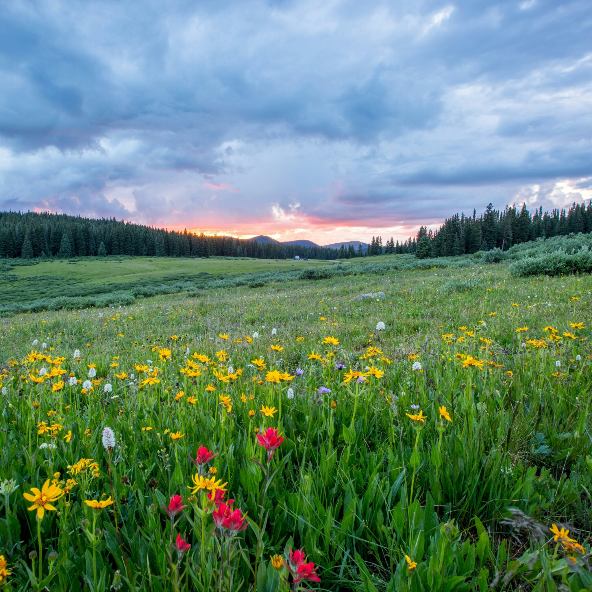 Sermon for Sunday, March 3, 2024, the 3rd Sunday of Lent What does it mean to keep the Sabbath