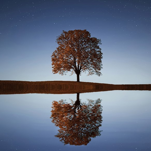 Sermon for Aug. 18, 2024 Finding clarity in the midst of chaos St